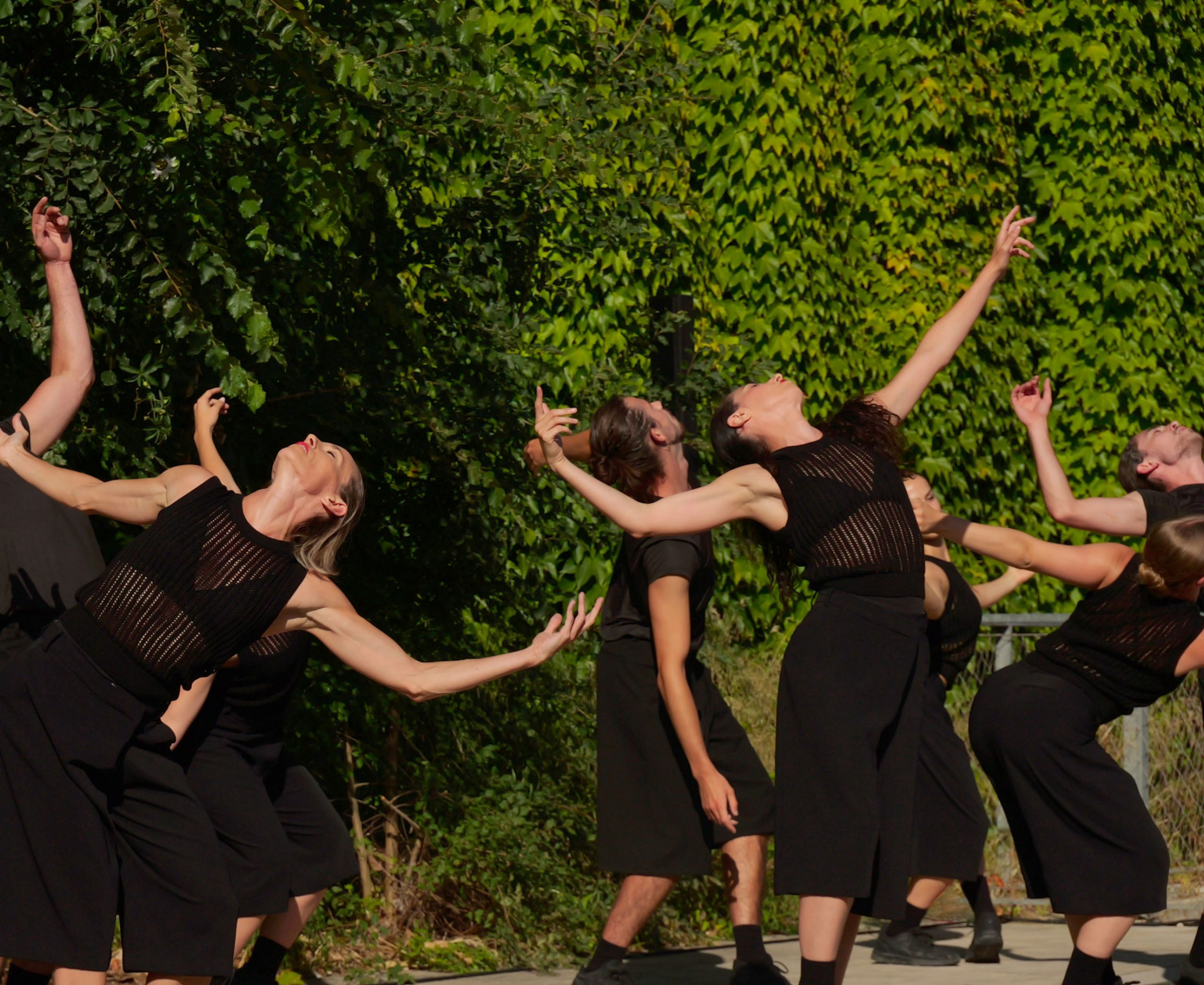 REPRÉSENTATION PUBLIQUE EN PLEIN AIR DU G.U.I.D.